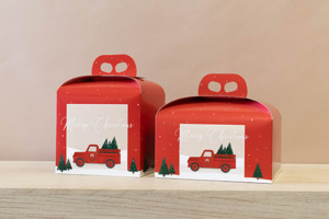 packaging natale